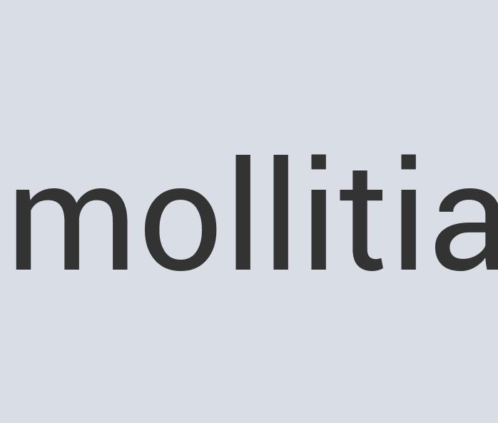 Gorgeous Rubber PANbox