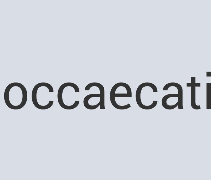 Heavy Duty Wool Boil Head