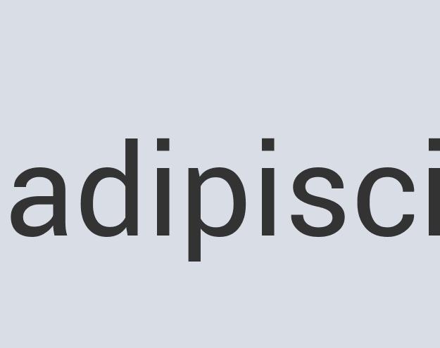 Ergonomic Concrete Van Mango