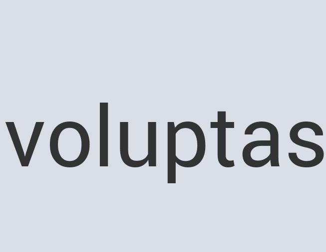 Ergonomic Leather Lord Debit Card